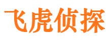 黎川市调查公司